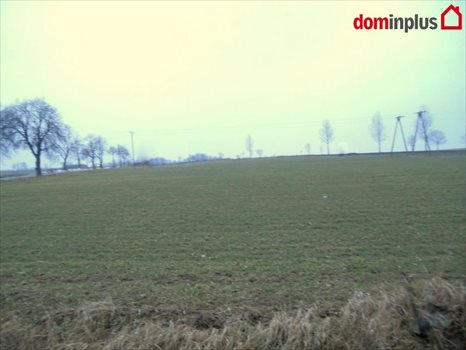 Działka inna na sprzedaż Kończewice 3 000m2 Foto 2