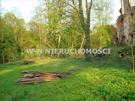 Lokal użytkowy na sprzedaż Bytom Odrzański, Bodzów 9 600m2 Foto 4