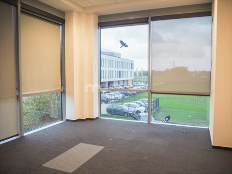 Lokal użytkowy na wynajem Dąbrowa 90m2 Foto 1