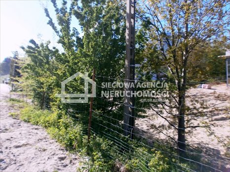 Działka budowlana na sprzedaż Gdynia, Mały Kack 800m2 Foto 5