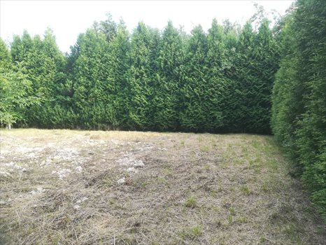 Działka budowlana na sprzedaż Ornontowice, Łąkowa 2 434m2 Foto 2