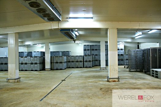 Lokal użytkowy na sprzedaż Białystok, Nowe Miasto 2 659m2 Foto 7