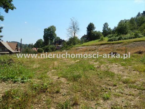 Działka budowlana na sprzedaż Rabka-Zdrój 6 900m2 Foto 4
