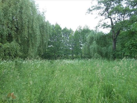 Działka budowlana na sprzedaż Łódź, Polesie 5 664m2 Foto 5