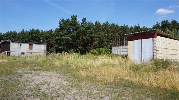 Dom na sprzedaż Daszewice, Szkolna 105m2 Foto 4