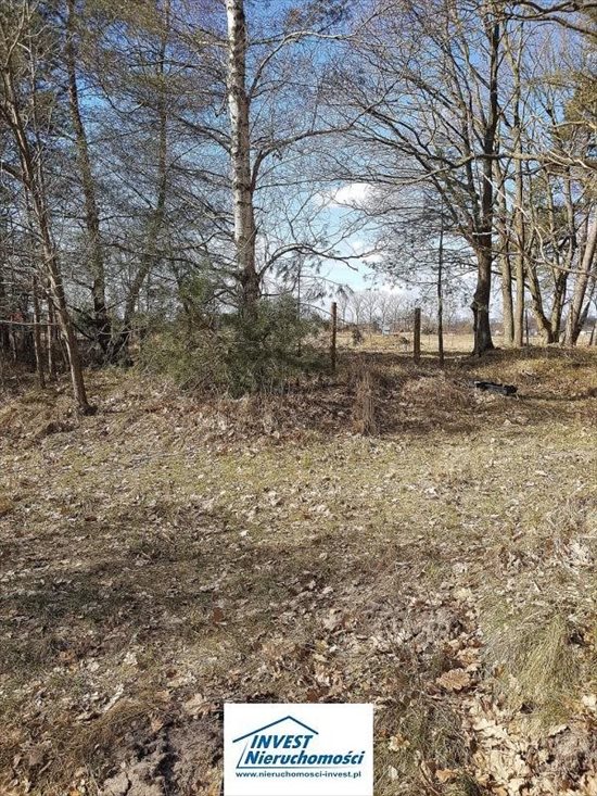 Działka inna na sprzedaż Nowęcin, Jezioro, Las, Tereny rekreacyjne 1 720m2 Foto 2