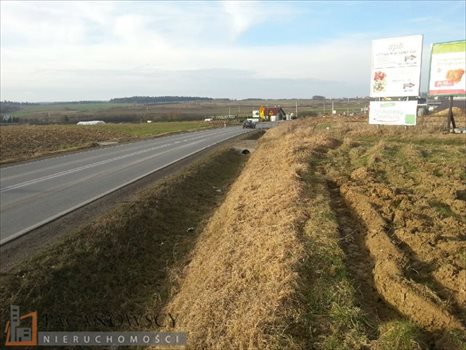 Działka inna na sprzedaż Cianowice Duże 10 700m2 Foto 4