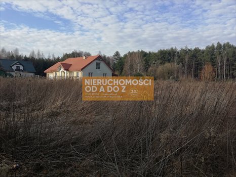 Działka budowlana na sprzedaż Otwock 6 500m2 Foto 3