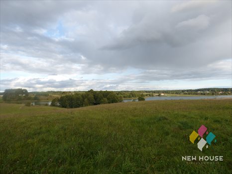 Działka budowlana na sprzedaż Wipsowo 12 500m2 Foto 8