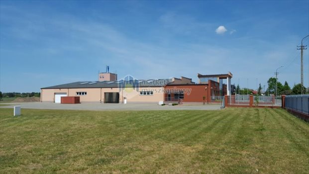 Lokal użytkowy na wynajem Ciechanowiec 2 658m2 Foto 2