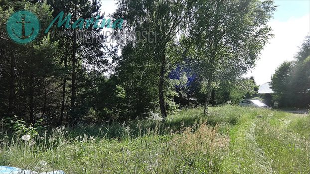 Działka budowlana na sprzedaż Kamień, Jezioro, Las, Tereny rekreacyjne 536m2 Foto 4