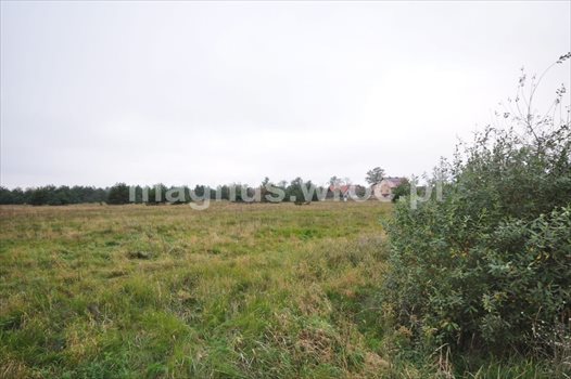 Działka budowlana na sprzedaż Chrząstawa Wielka 1 126m2 Foto 5
