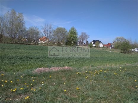 Działka budowlana na sprzedaż Majdan Krasieniński 1 800m2 Foto 2