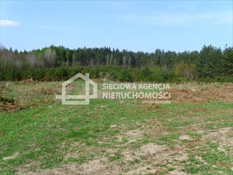 Działka budowlana na sprzedaż Sitno 3 053m2 Foto 5
