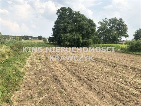 Działka budowlana na sprzedaż Dobra 3 000m2 Foto 2
