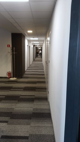 Lokal użytkowy na wynajem Wrocław, Psie Pole 800m2 Foto 3
