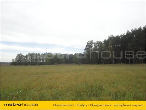 Działka siedliskowa na sprzedaż Luciny, Śrem 10 039m2 Foto 2