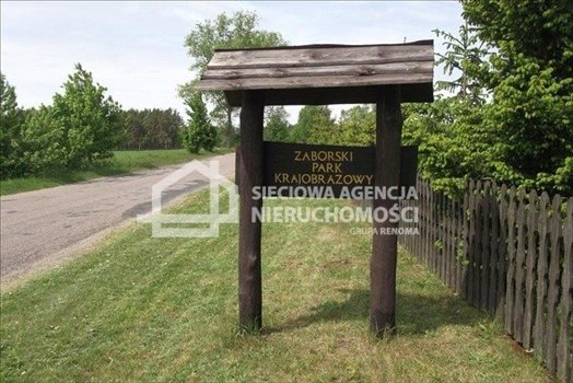 Działka leśna na sprzedaż Czarniż 44 100m2 Foto 10