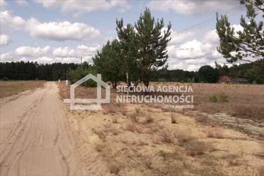 Działka rolna na sprzedaż Sepiot 43 700m2 Foto 10