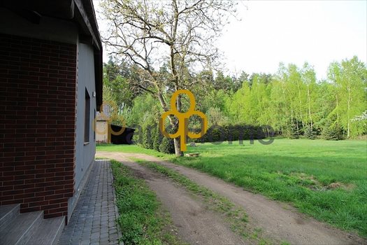 Dom na sprzedaż Dąbcze 80m2 Foto 4