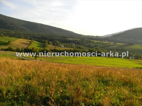 Działka budowlana na sprzedaż Skrzydlna 7 400m2 Foto 7