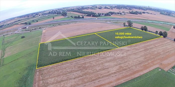 Działka inwestycyjna na sprzedaż Bogucin, Bogucin 26 200m2 Foto 4