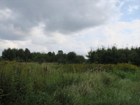 Działka inna na sprzedaż Kobylnica, Łąkowa 1 082m2 Foto 2