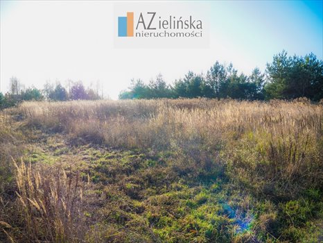 Działka budowlana na sprzedaż Poznań, Morasko, Jaśkowiaka, Radojewo, Morasko 1 450m2 Foto 2