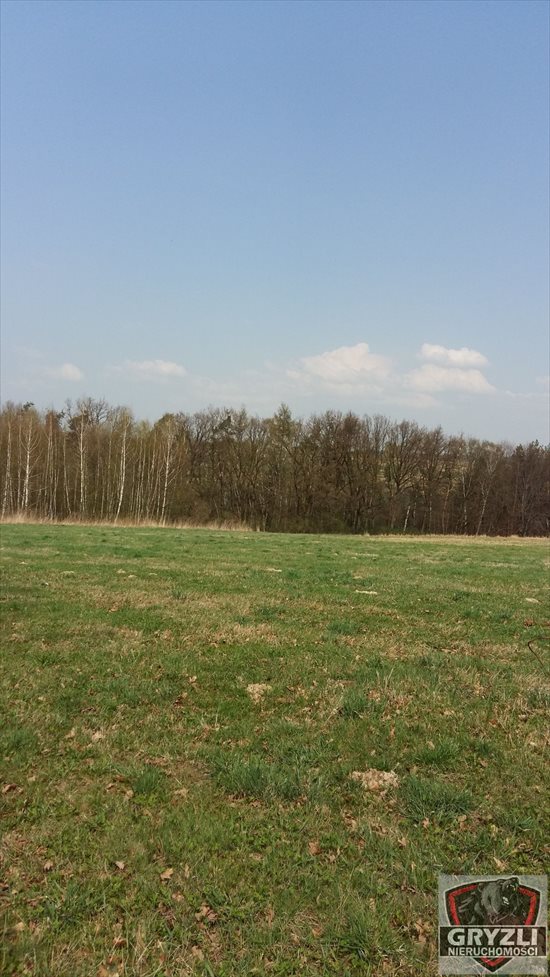 Działka budowlana na sprzedaż Masłomiąca 1 500m2 Foto 3