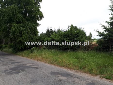 Działka budowlana na sprzedaż Izbica 1 248m2 Foto 9
