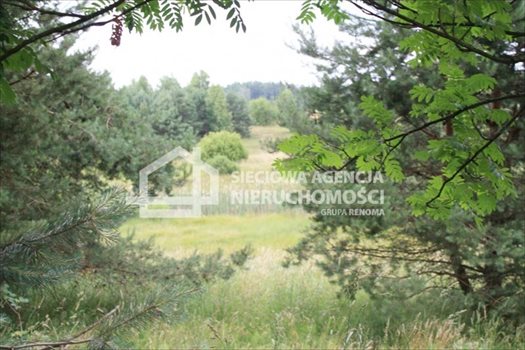 Działka budowlana na sprzedaż Sitno 3 664m2 Foto 1