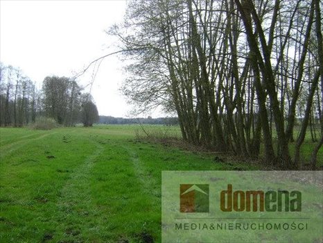 Działka siedliskowa na sprzedaż Dormowo 9 300m2 Foto 2