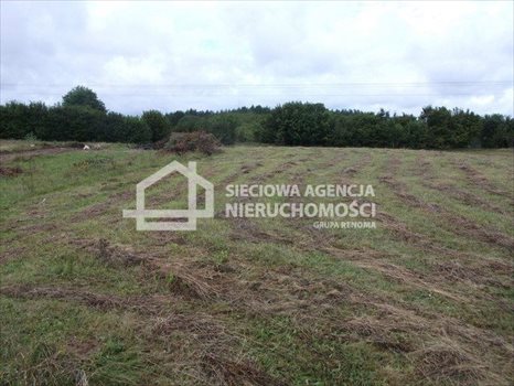 Działka budowlana na sprzedaż Ostrzyce 1 379m2 Foto 2