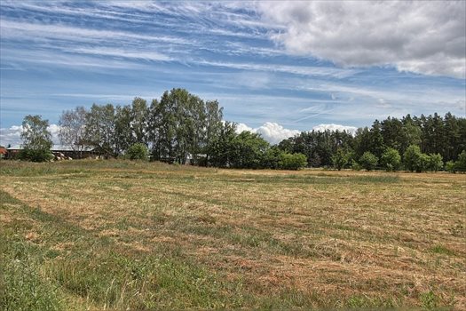 Działka budowlana na sprzedaż Brzózki 2 815m2 Foto 11