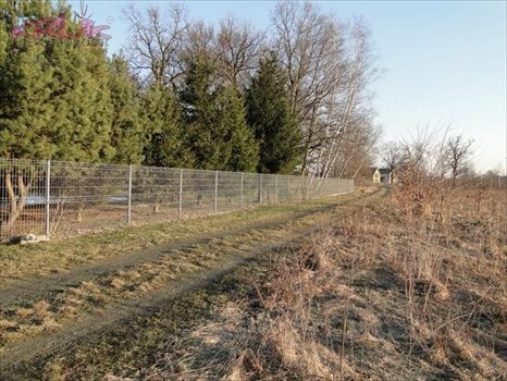 Działka inwestycyjna na sprzedaż Wrocław, Psie-Pole, Pełczyńska 3 000m2 Foto 4