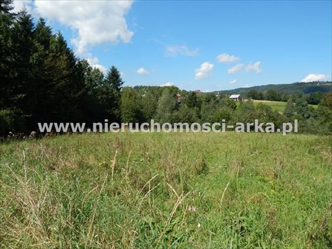 Działka budowlana na sprzedaż Limanowa, Lipowe 2 100m2 Foto 2