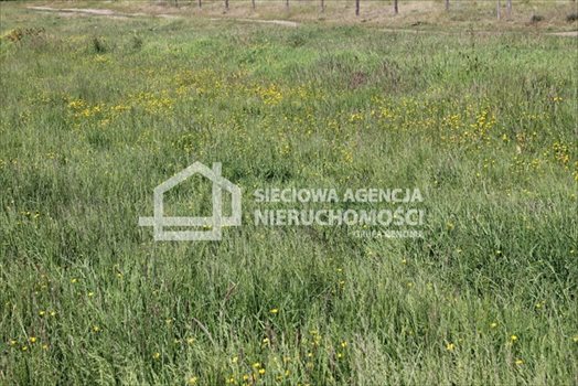 Działka budowlana na sprzedaż Lubowidz 1 083m2 Foto 3