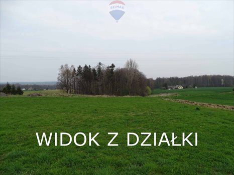 Działka budowlana na sprzedaż Rudzica 1 517m2 Foto 7
