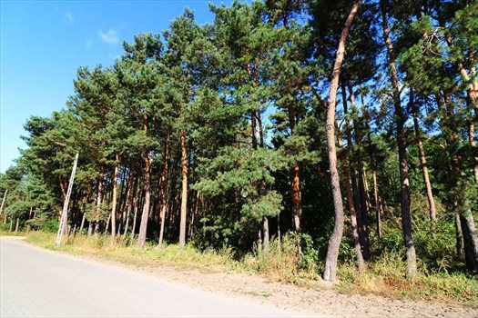 Dom na sprzedaż Mosty, Pas nadmorski, Tereny rekreacyjne, XXX 156m2 Foto 5