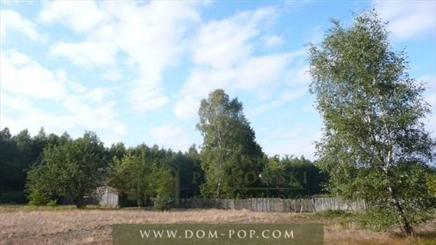 Działka budowlana na sprzedaż Borowiny 3 178m2 Foto 3