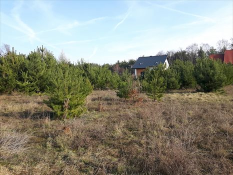Działka budowlana na sprzedaż Skoki, Tadeusza Kościuszki 1 193m2 Foto 3
