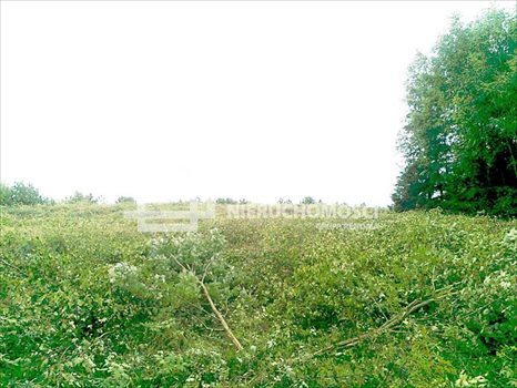 Działka rekreacyjna na sprzedaż Gołubie 1 360m2 Foto 6