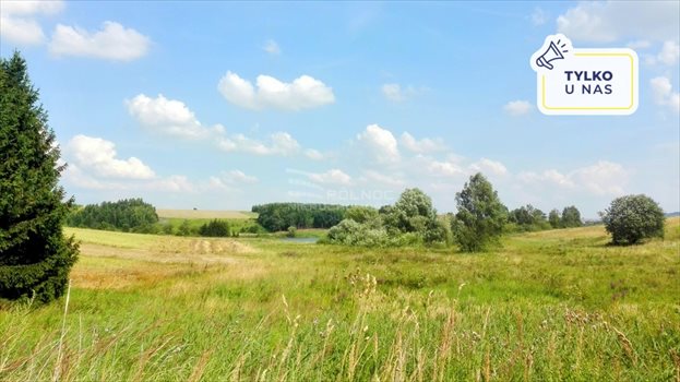 Działka rolna na sprzedaż Zabagnie 5 459m2 Foto 1