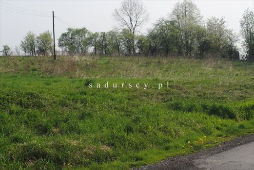 Działka inwestycyjna na sprzedaż Libertów 2 000m2 Foto 4