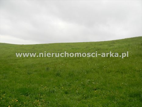 Działka leśna na sprzedaż Rabka-Zdrój 27 000m2 Foto 2