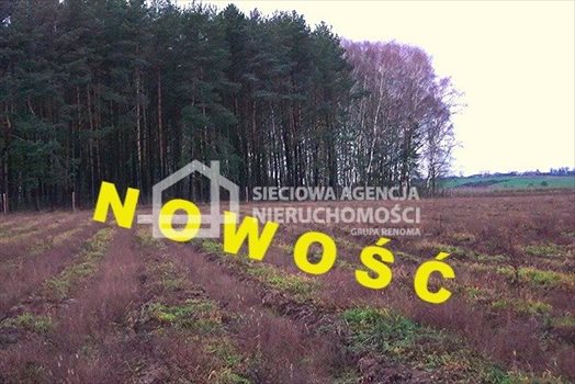 Działka leśna na sprzedaż Strzeczona 129 577m2 Foto 1
