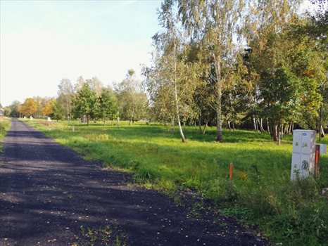 Działka budowlana na sprzedaż Budy-Grzybek 942m2 Foto 8
