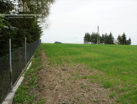 Działka budowlana na sprzedaż Kielanówka 3 600m2 Foto 4