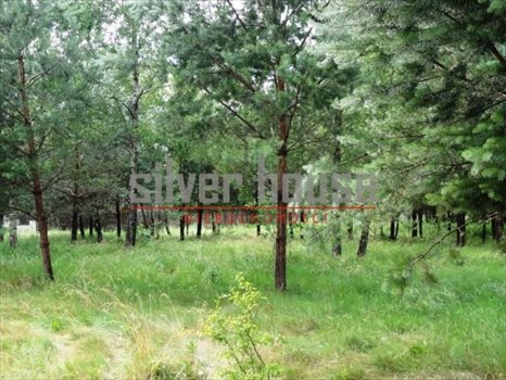 Działka budowlana na sprzedaż Puste Łąki 920m2 Foto 4