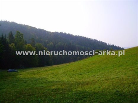 Działka budowlana na sprzedaż Kasinka Mała 2 300m2 Foto 3